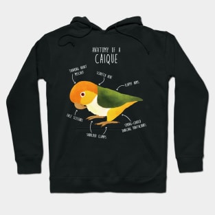 Anatomy of a White-Bellied Caique Hoodie